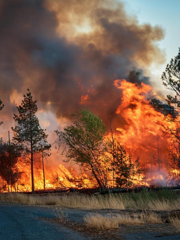 Collection of overdue debts: suspension in Los Angeles due to wildfires