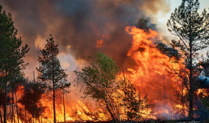 Collection of overdue debts: suspension in Los Angeles due to wildfires