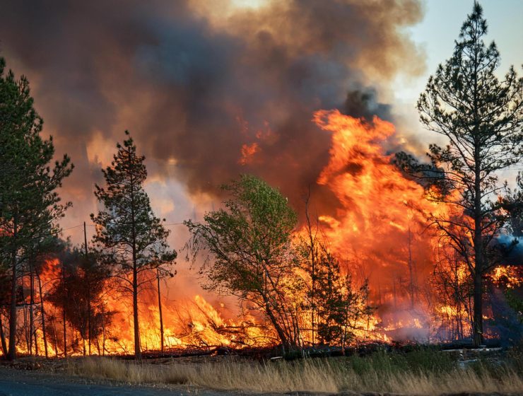 Collection of overdue debts: suspension in Los Angeles due to wildfires