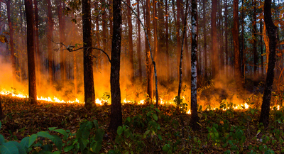 Los Angeles Wildfires: Insurance Costs Could Exceed $20 Billion